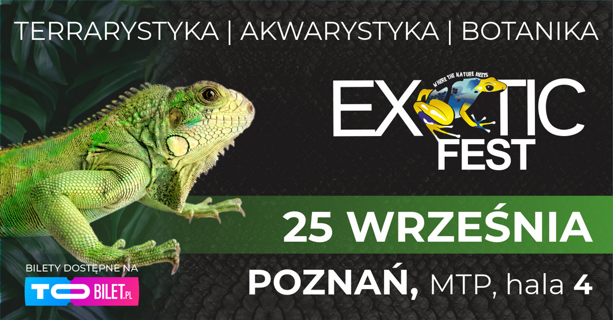 Baner promujący wydarzenie.