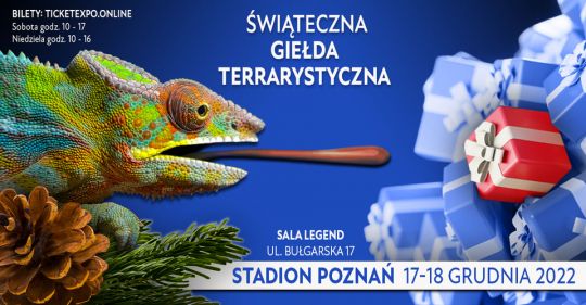 Baner promujący wydarzenie.