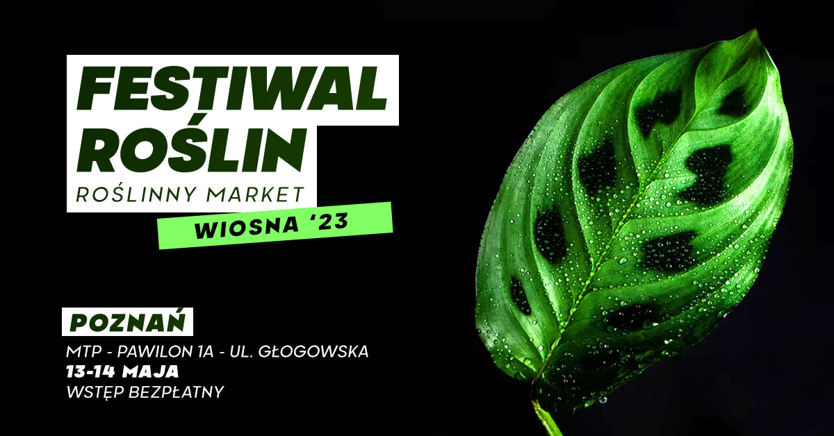 Baner promujący wydarzenie. Nazwa wydarzenia i data.