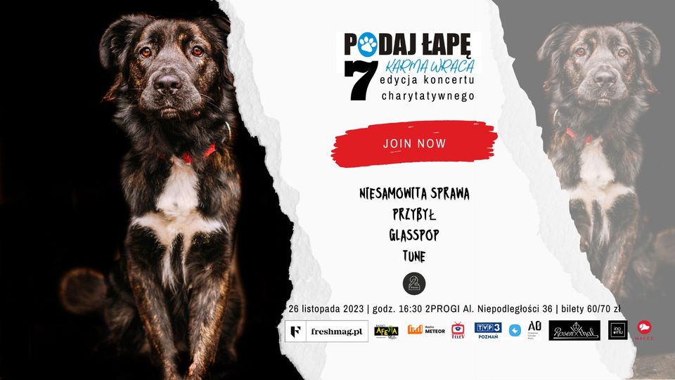 Baner promujący wydarzenie. Nazwa wydarzenia i data. Zdjęcie 2 psów