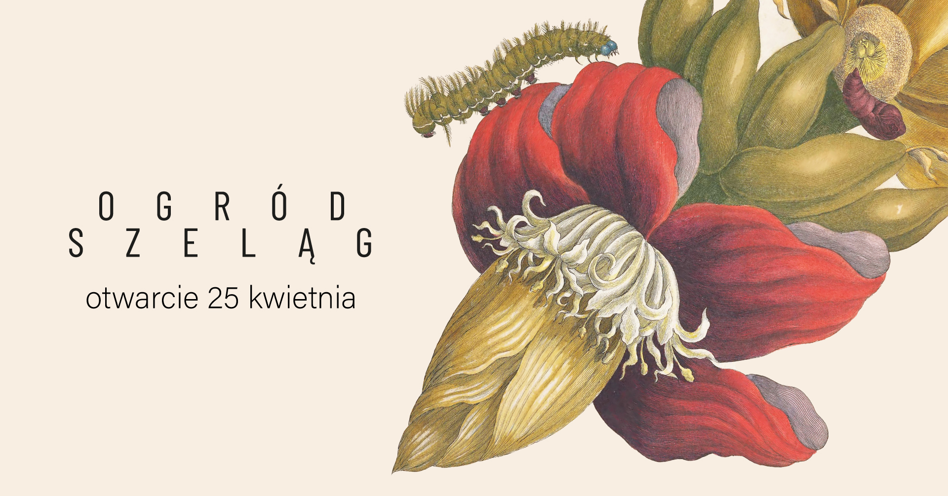 Baner promujący wydarzenie.