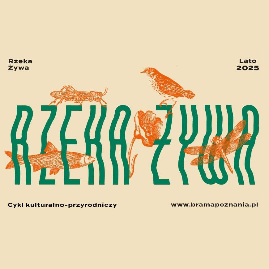 Baner promujący wydarzenie. Nazwa wydarzenia.