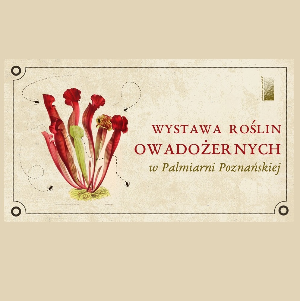 baner rośliny owadożerne