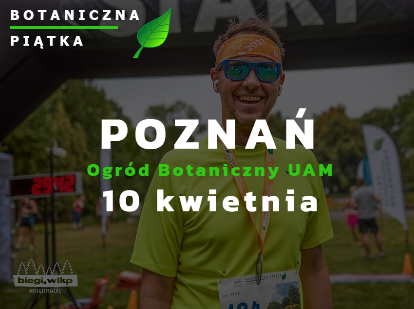 zdjęcie dekoracyjne