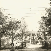 Czarno-białe zdjęcie Areny w budowie. Po prawej i lewej stronie drzewa, z przodu kobieta w okularach.