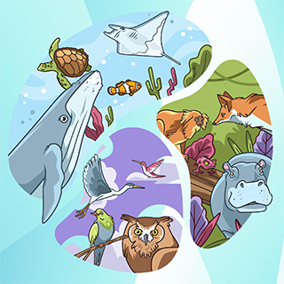 Rysunkowe przedstawienia zwierząt wodnych, lądowych i latających.