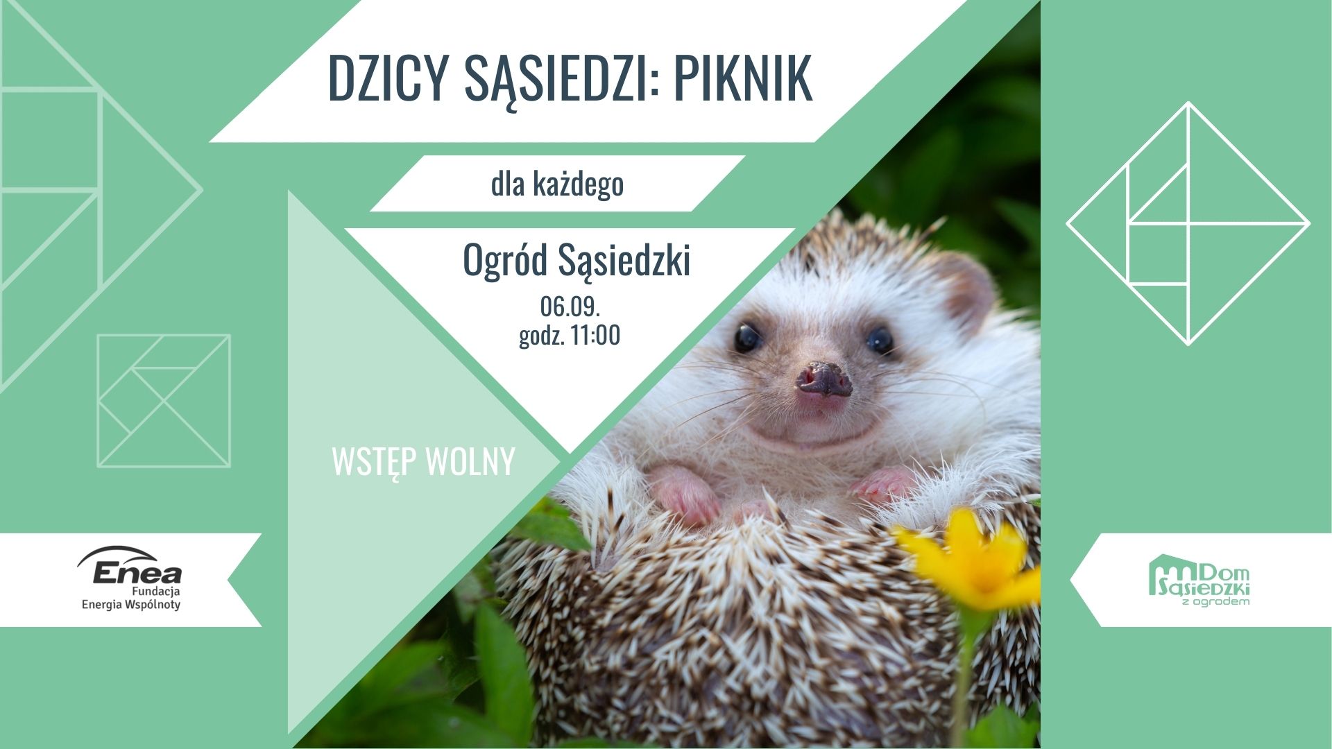 Zielone tło z geometrycznymi kształtami. W tło wpisane zdjęcie jeża. Szczegóły o wydarzeniu w artykule.