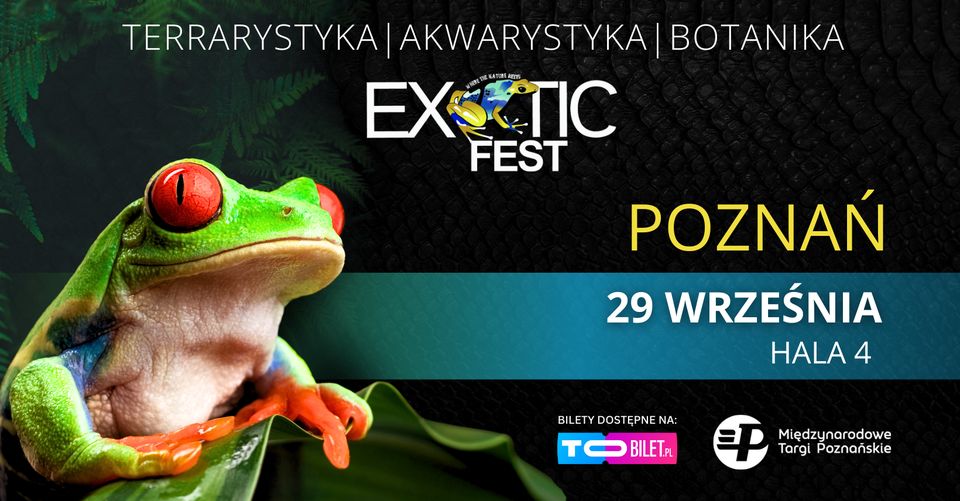 Plakat przedstawia egzotyczną ropuchę. Ma czerwone, duże oczy i czerwone nóżki. Jest zielona i siedzi na liściu.