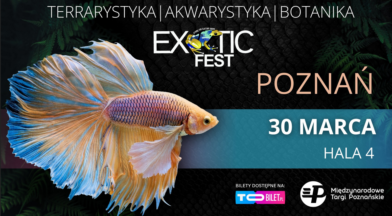 Plakat, który reklamuje "Exotic Fest" targi terrarystyki. Na pierwszysm planie egzotyczna ryba, z boku napisy reklamujące wydarzenie.