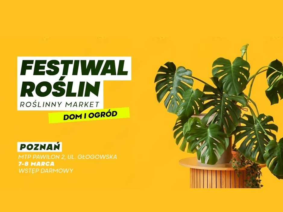 Informacje o festiwalu roślin na Tragach Poznańskich, obok dorodna roślina monstera w odmianie deliciosa, to wszystko na pomarańczowym tle.