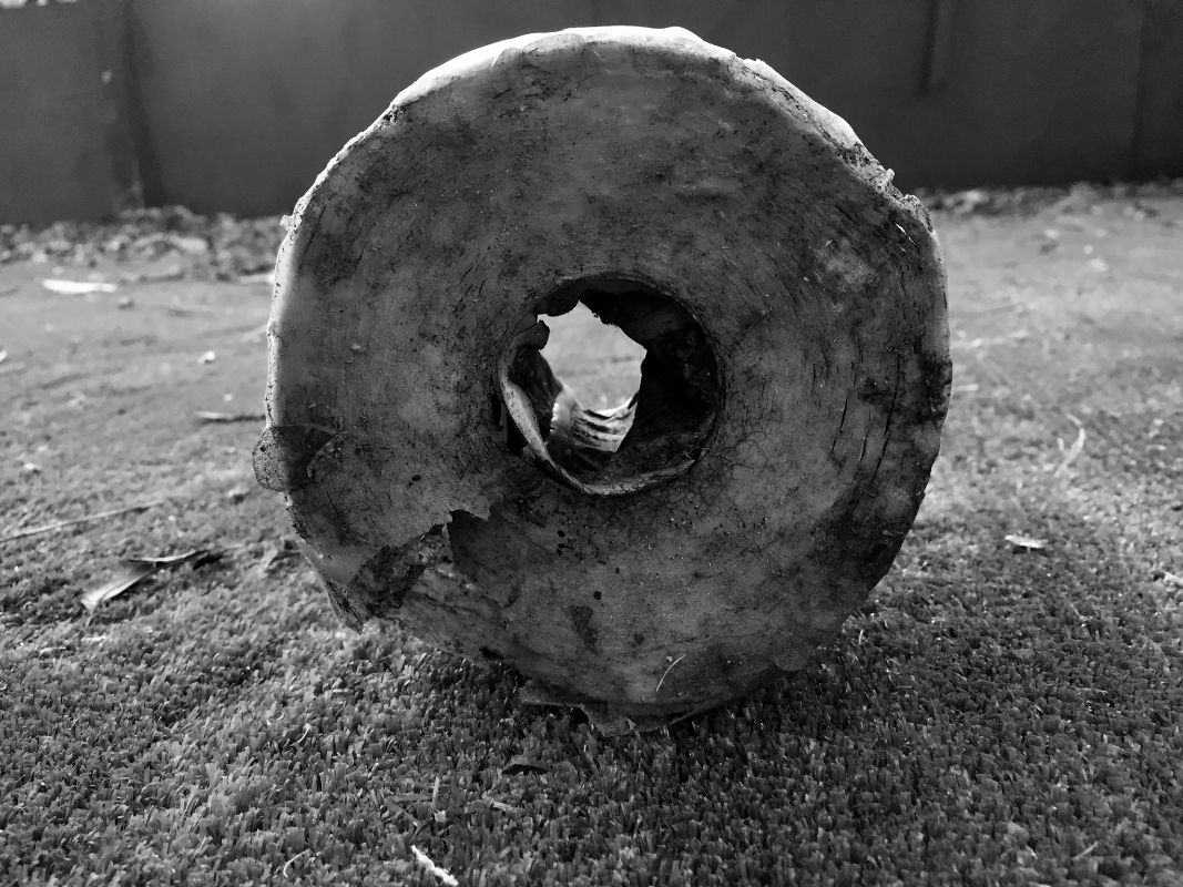 fot. Tour of the Artists' House produce by RESERVE AMES with Erika Ostrander and Christian Tedeschi