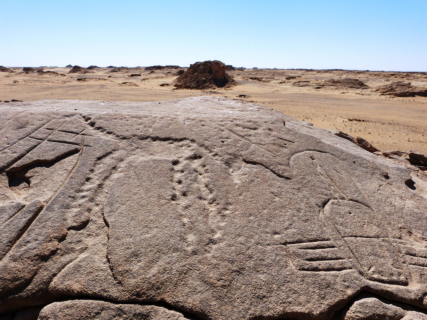 Wyspa na morzu piasków