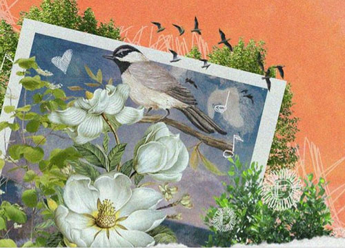 Ptaki. kwiaty, drzewa na pomarańczowym i niebieskim tle.