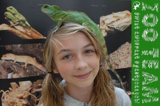 Dziewczynka z jaszczurką na głowie.