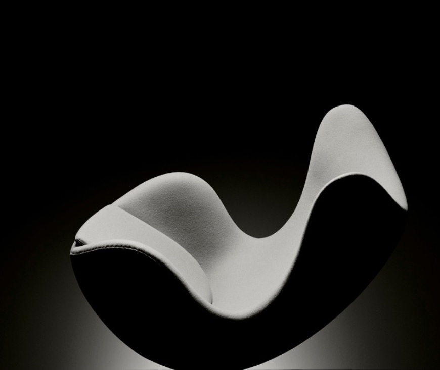 Na czarno białej fotografii Piotra Topperzera widzimy fotel w kształcie przypominającym jajko. Fotel jest bez nóg i sprawia wrażenie bujanego fotela lub skulonego nagiego ciała ludzkiego.