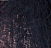 Utrzymana w ciemnych barwach fotografia splatanych gałązek wikliny bądź kabli, przez którą przebija się przyćmione światło.