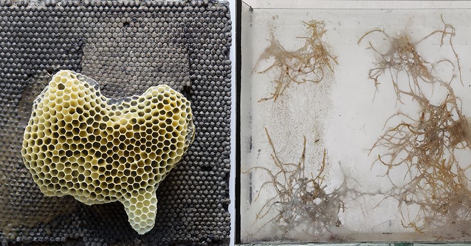 Jedna z prac z wystawy.