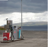 Kolorowa fotografia przedstawia stację paliw na tle otwartego krajobrazu. Na jednym z dystrybutorów siedzi ptak. Niebo zasnuwają szare chmury.