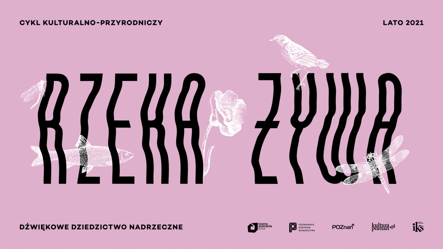 Napis "rzeka żywa" na różowym tle, na tym biały ptak, kwiat, ważka i ryba.