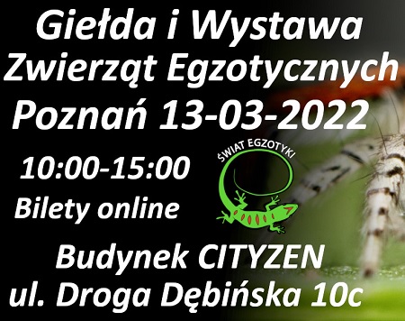 Nazwa oraz podstawowe informacje dotyczące wydarzenia; na środku grafika jaszczurki z napisem "ŚWIAT EGZOTYKI"