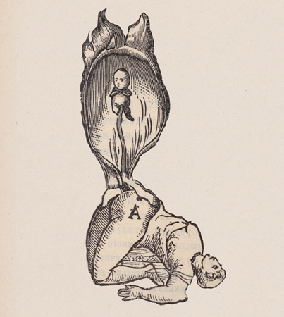 Jedna z prac artystki. Leżąca sylwetka ludzka i wychodzący z niej noworodek, połaczone pępowiną.