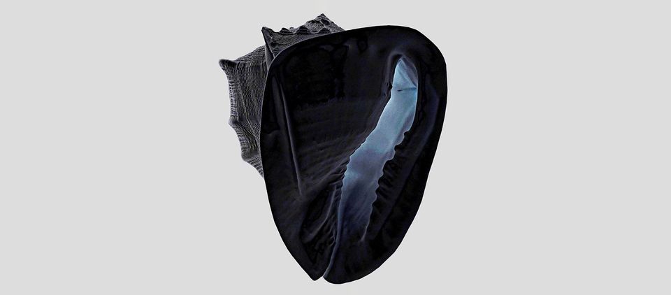 Na grafice plakat wydarzenia.