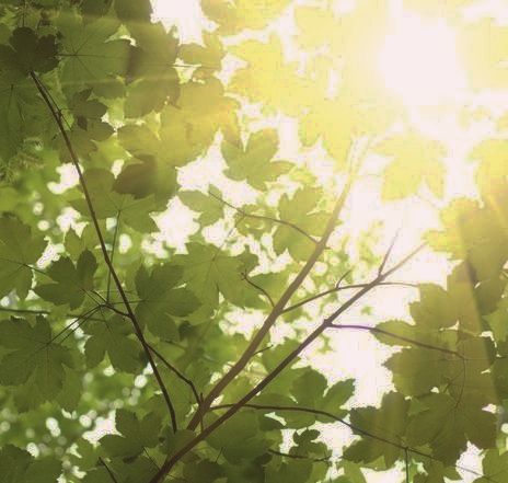 Na grafice plakat wydarzenia.