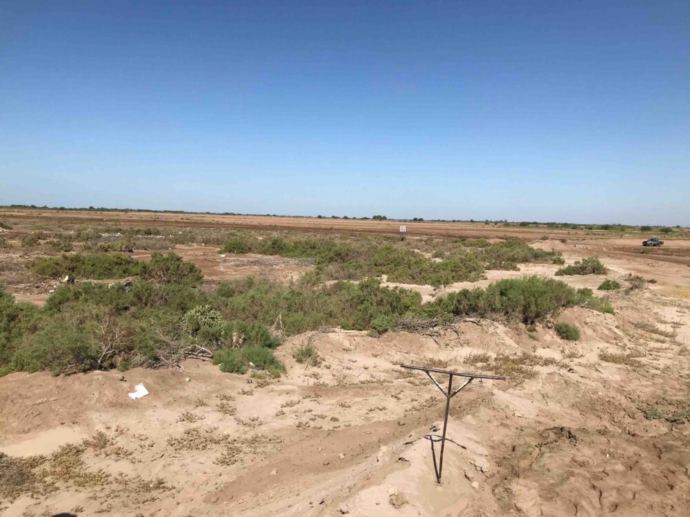 Na grafice plakat wydarzenia.