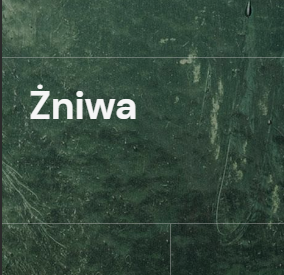 na ciemnozielonym tle biały tytuł spektaklu