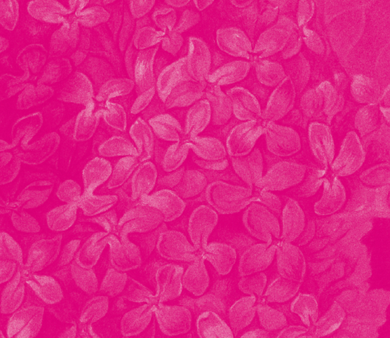 na ciemnoróżowym tle widoczne jaśniejsze kwiaty