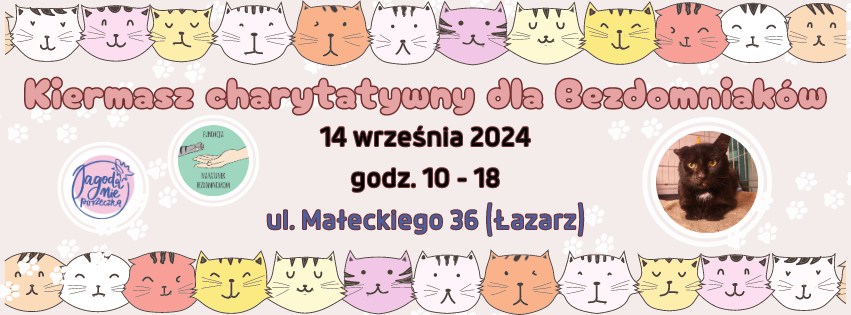 Obrazek przedstawia graficznie narysowane koty w różnych kolorach. Po prawej stronie znajduje się zdjęcie czarnego kota. Pośrodku znajduje się nazwa wydarzenia.