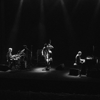 Koncert, ciemność, trzech muzyków podczas występu oświetlonych jedynie punktowym światłem.