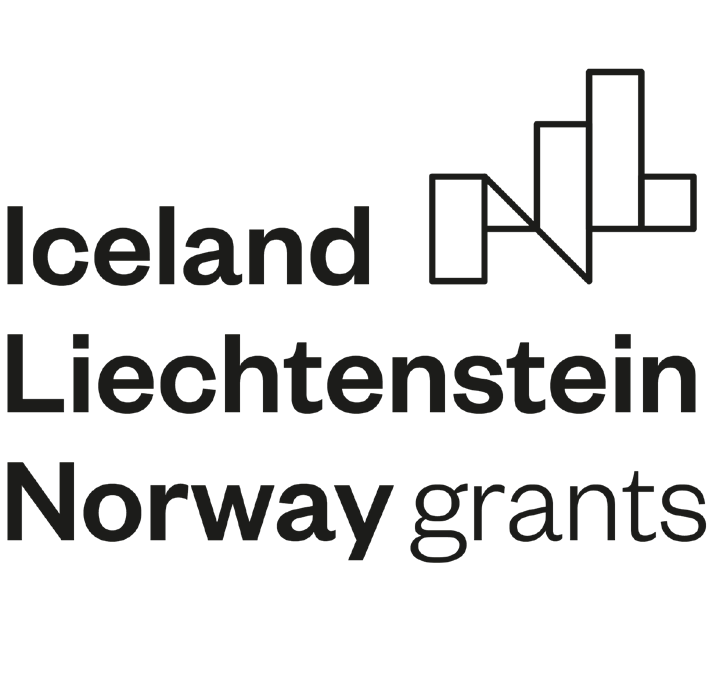 Logo Iceland Liechtenstein.
