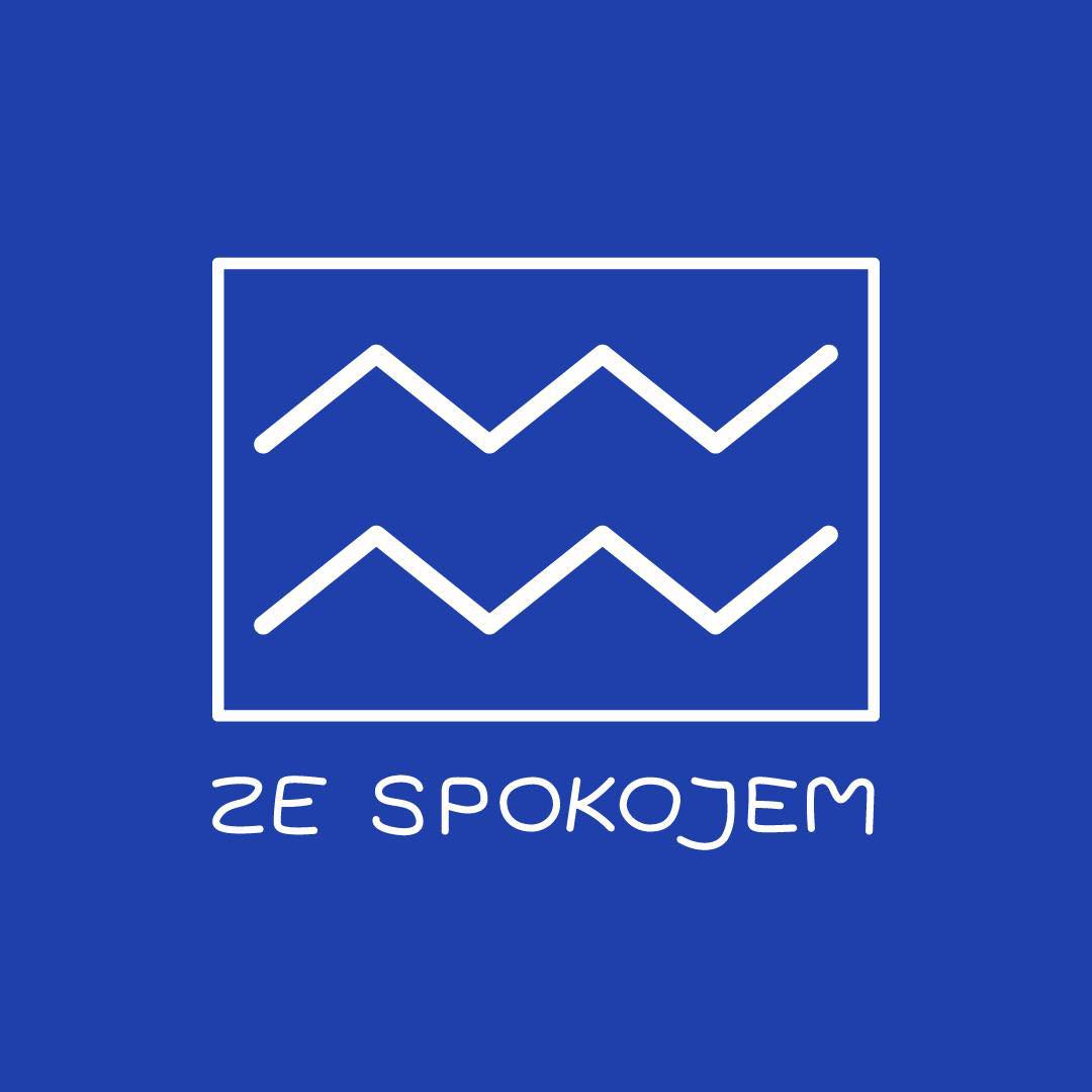 Logo,czyli na niebieskim tle biały prostokąt a w nim dwie falki. Poniżej biały napis "ze spokojem".