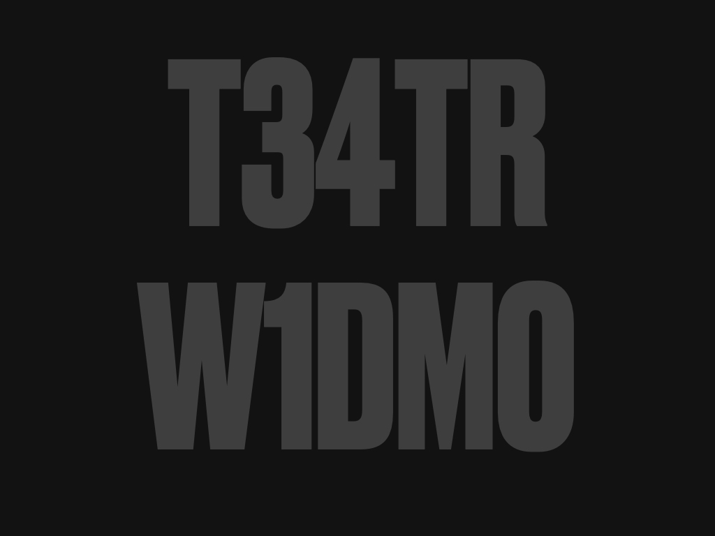 Ciemna grafika: na czarnym tle szary napis "T34TR W1DMO".