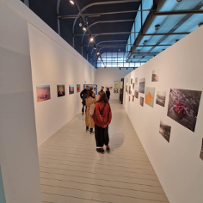 Ludzie chodzą po galerii, oglądają zdjęcia wiszące na białych ścianach.