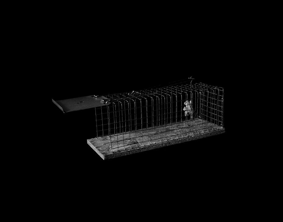 M. Bugalski, Klatka, 2019, fotografia, 60 x 80 cm