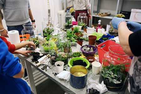 materiały do tworzenia lasu w słoiku