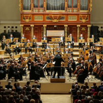 Muzycy filharmonii występują na scenie. Pod sceną publiczność, za sceną ogromne drewniane organy.