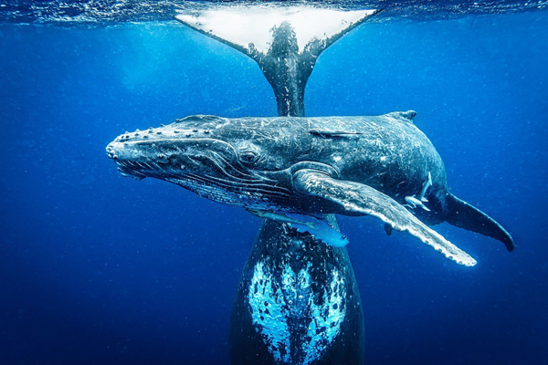 fot. Sebastian Gorgol