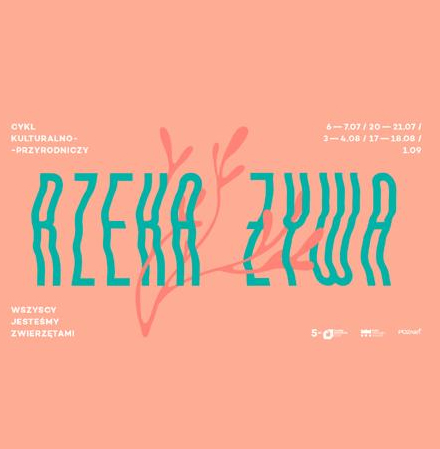 Plaża w Chomęcicach