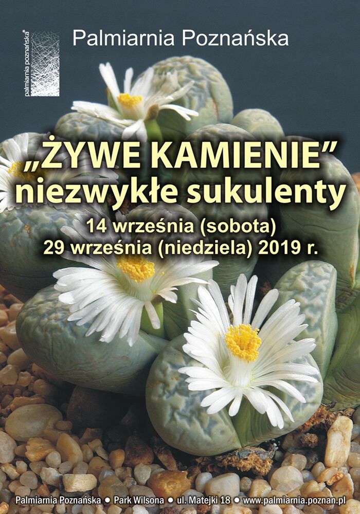 Fragment ekspozycji na zdjęciu. Żółte napisy - data i nazwa wystawy.