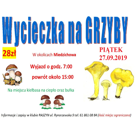 Plakat wydarzenia - kolorowe napisy, rysunki grzybów