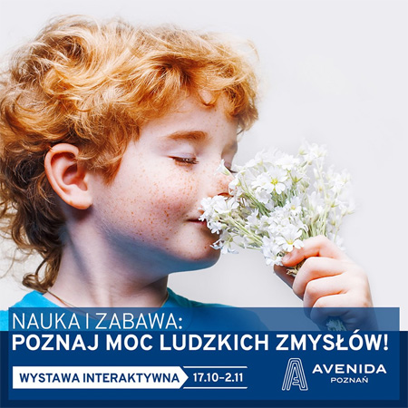 Dziecko wącha kwiaty.