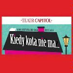 Na plakacie czarny dach budynku na błękitnym tle z napisem Kiedy kota nie ma.