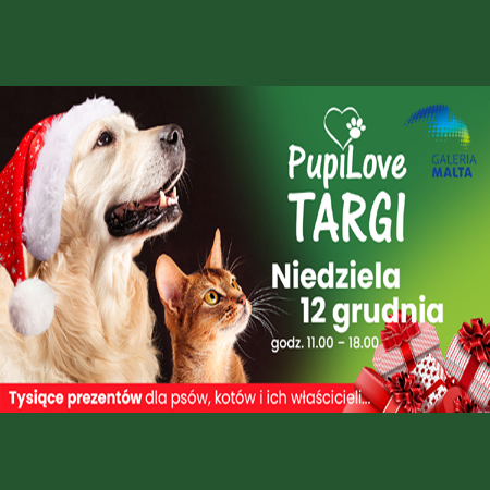 Po lewej stronie pies w czapce Mikołaja i kot patrzą na coś u góry. Po prawej napisy informujące o wydarzeniu, zielone tło.