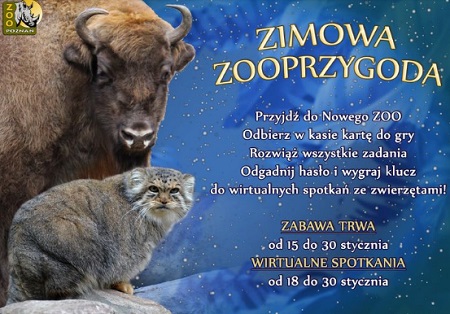 Żubr i kot. Tytuł i czas wydarzenia oraz zasady opisane w artykule.