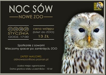 Sowa.