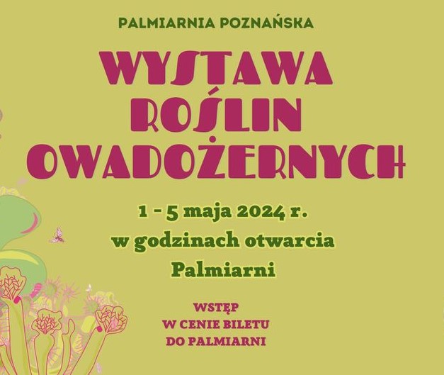plakat
