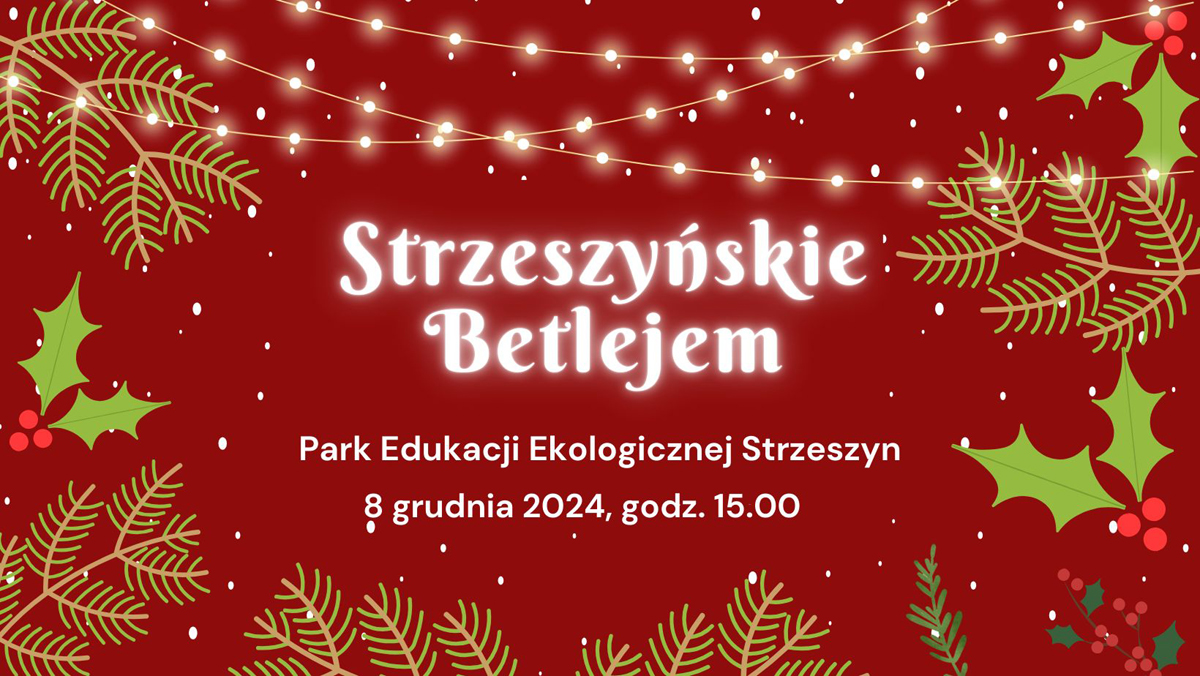 Białe napisy na czerwonym tle. Po bokach świąteczne gałązki.